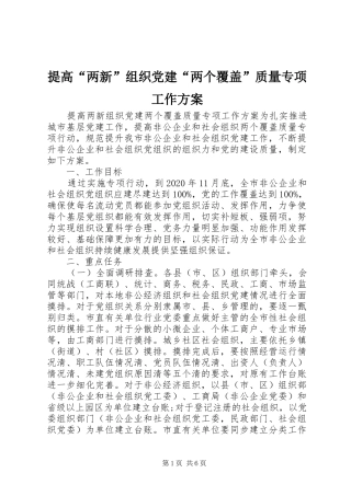 提高“两新”组织党建“两个覆盖”质量专项工作实施方案