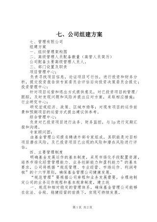 七、公司组建实施方案