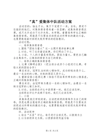 “真”爱集体中队活动实施方案