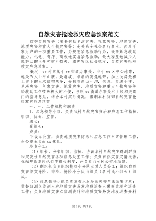 自然灾害抢险救灾应急处置预案范文