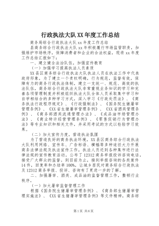 行政执法大队XX年度工作总结