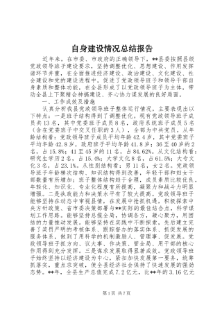 自身建设情况总结报告