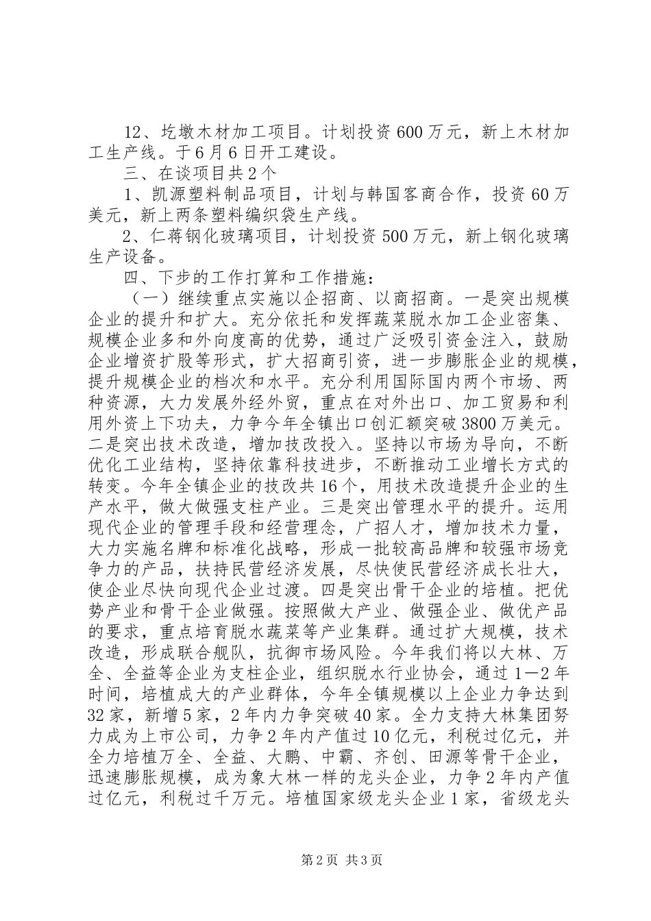 镇招商引资半年总结及下半年工作措施_第2页