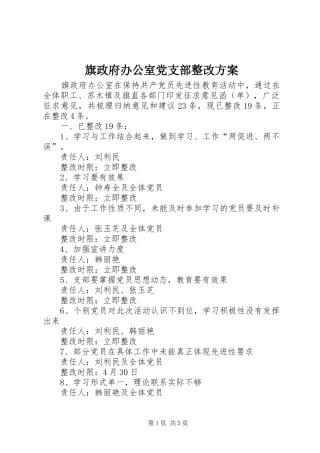 旗政府办公室党支部整改方案