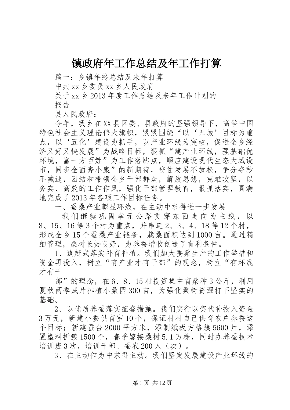 镇政府年工作总结及年工作打算_第1页