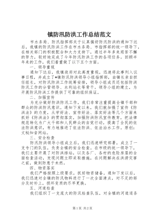 镇防汛防洪工作总结范文