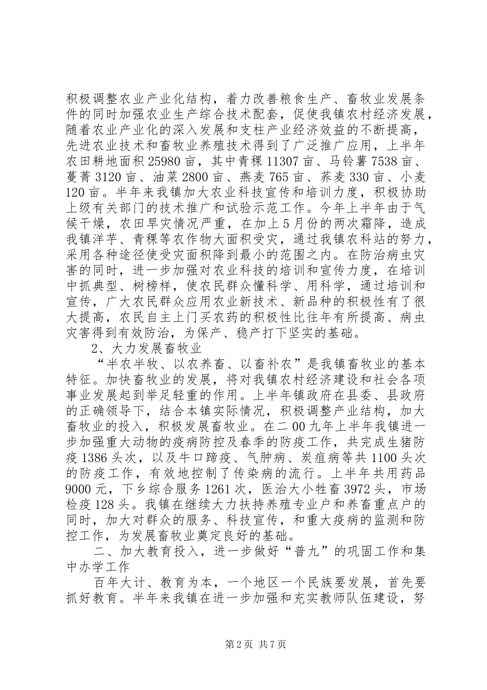 镇上半年政府工作总结_第2页
