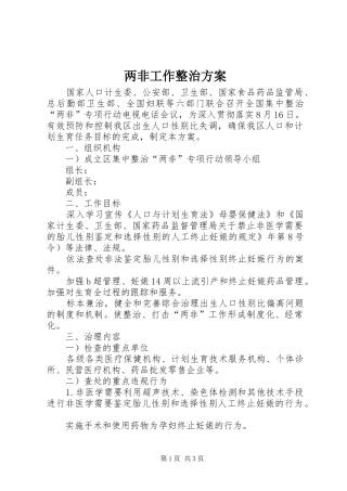 两非工作整治方案