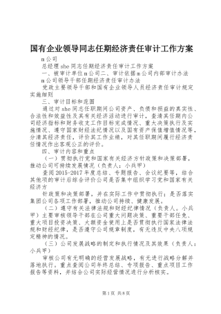 国有企业领导同志任期经济责任审计工作实施方案