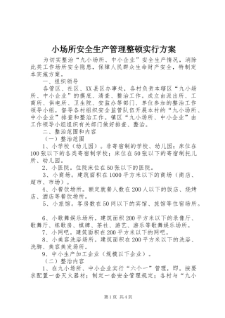 小场所安全生产管理整顿实行实施方案