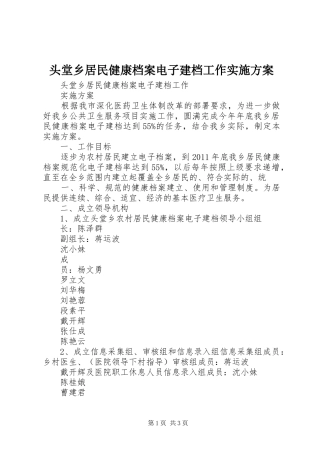 头堂乡居民健康档案电子建档工作方案