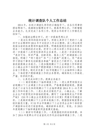 统计调查队个人工作总结