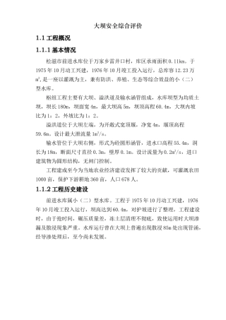 大坝安全综合评价（49页）