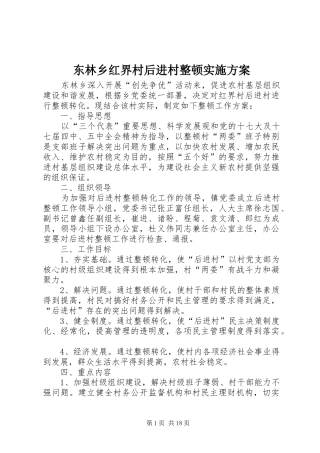 东林乡红界村后进村整顿方案