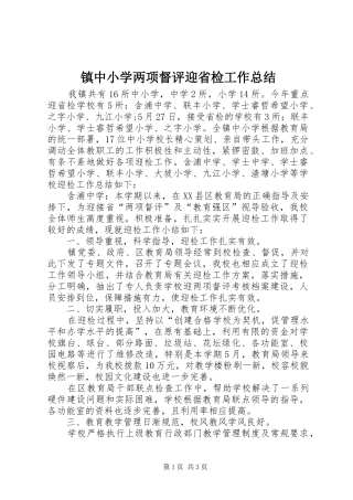 镇中小学两项督评迎省检工作总结