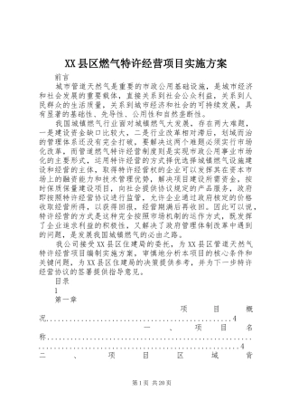 XX县区燃气特许经营项目方案