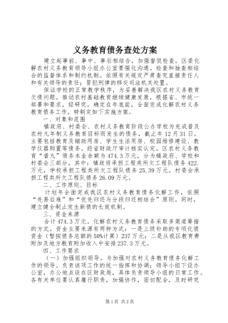 义务教育债务查处实施方案