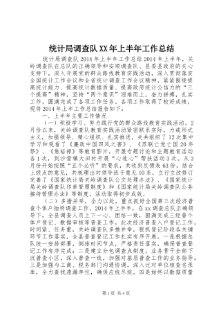 统计局调查队XX年上半年工作总结