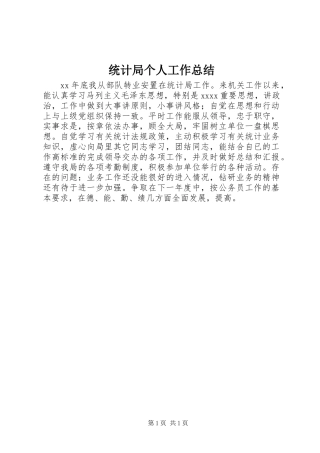 统计局个人工作总结