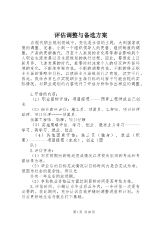 评估调整与备选方案