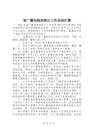 省广播电视局统计工作总结打算