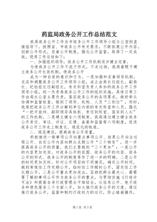 药监局政务公开工作总结范文