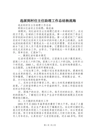 选派到村任主任助理工作总结杨流海