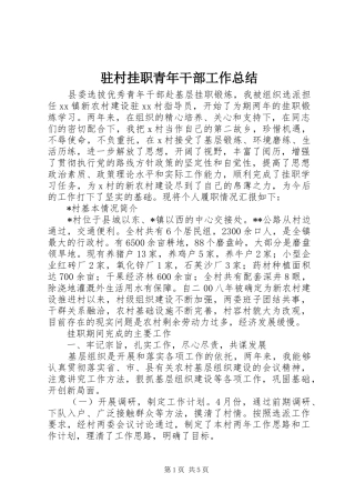 驻村挂职青年干部工作总结
