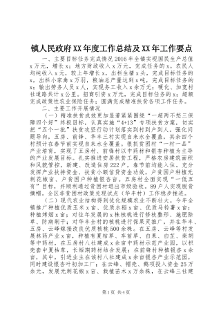 镇人民政府XX年度工作总结及XX年工作要点