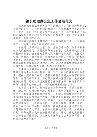 镇长助理办公室工作总结范文