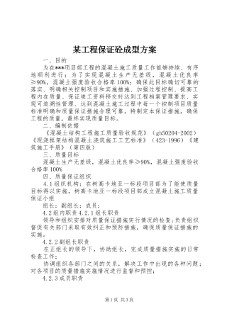 某工程保证砼成型实施方案