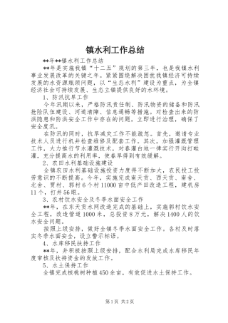 镇水利工作总结