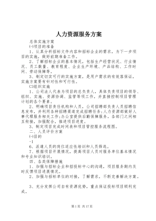 人力资源服务实施方案