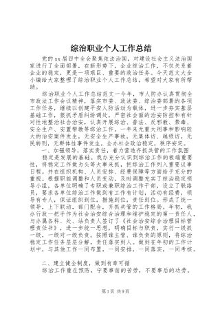 综治职业个人工作总结