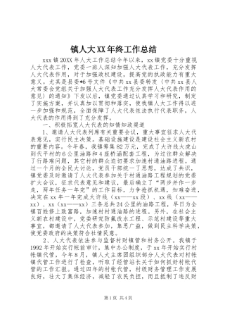 镇人大XX年终工作总结