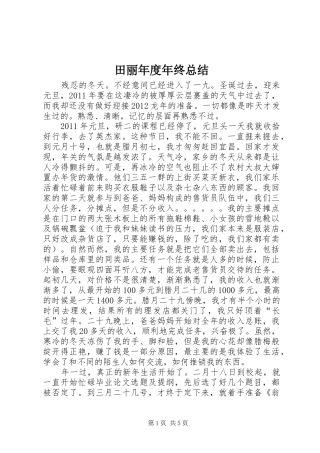 田丽年度年终总结