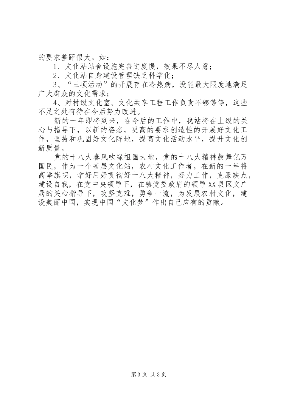 综合文化站XX年工作总结_第3页