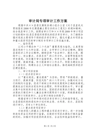审计局专项审计工作实施方案