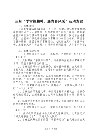 三月“学雷锋精神、展青春风采”活动方案