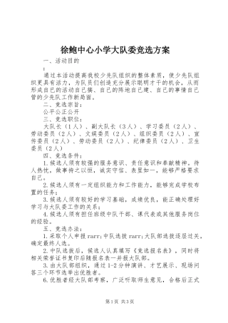 徐鲍中心小学大队委竞选实施方案