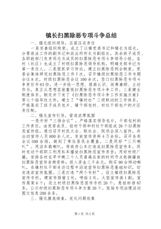 镇长扫黑除恶专项斗争总结