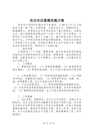 农办灾后重建实施方案