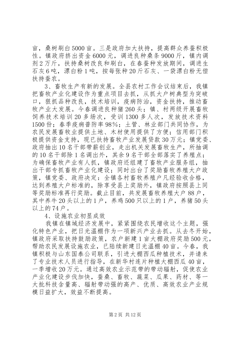 饶峰镇年度工作总结及工作要点_第2页