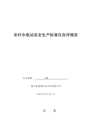 玉龙水电站安全生产标准化自评报告