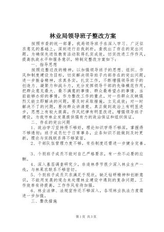 林业局领导班子整改方案