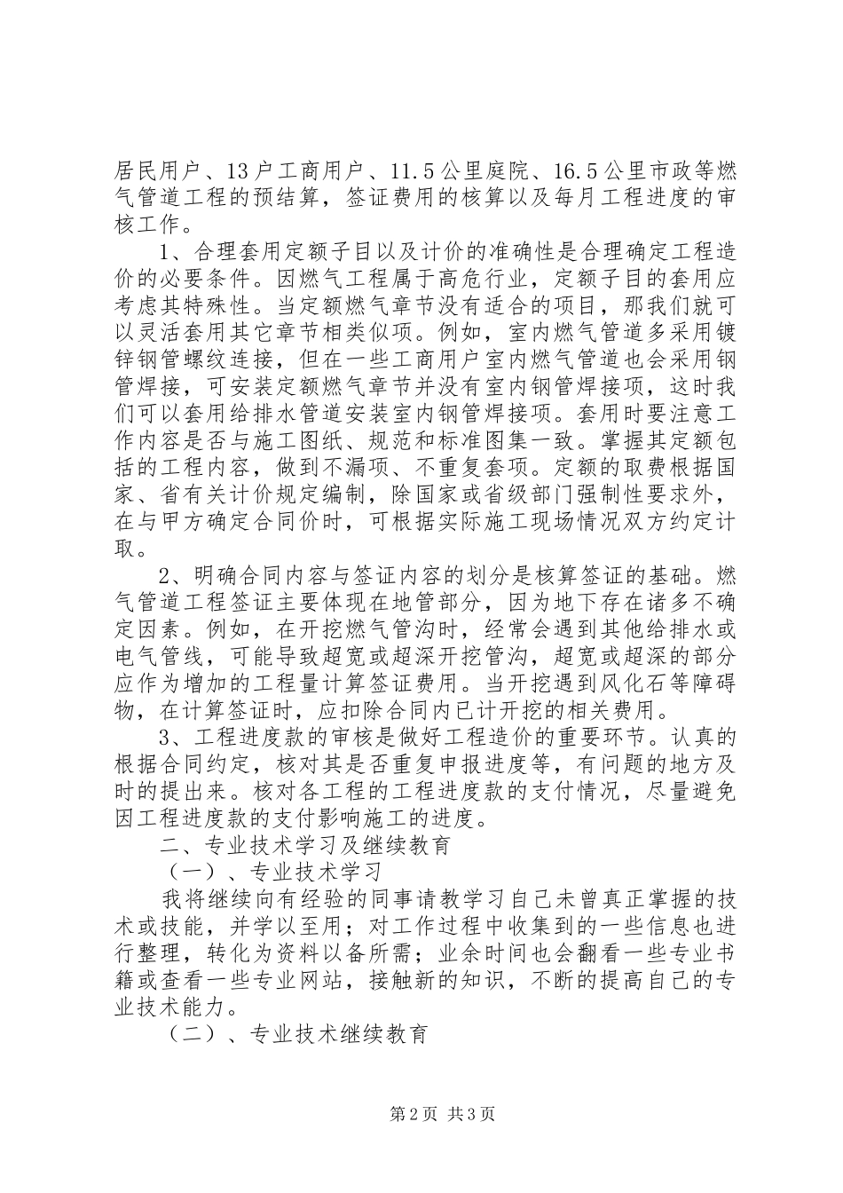 造价师工作总结_第2页