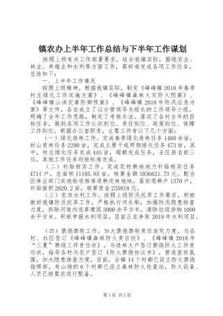 镇农办上半年工作总结与下半年工作谋划