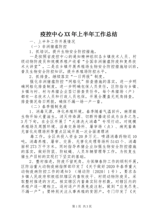 疫控中心XX年上半年工作总结