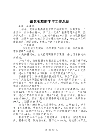 镇党委政府半年工作总结