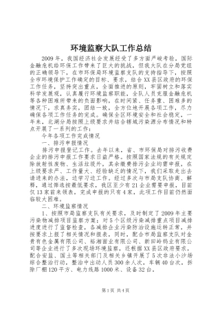 环境监察大队工作总结